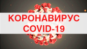Эпидемия коронавируса COVID-19 Коронавирус COVID-19